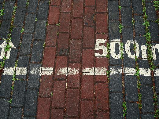 跌跌撞撞的走过春天