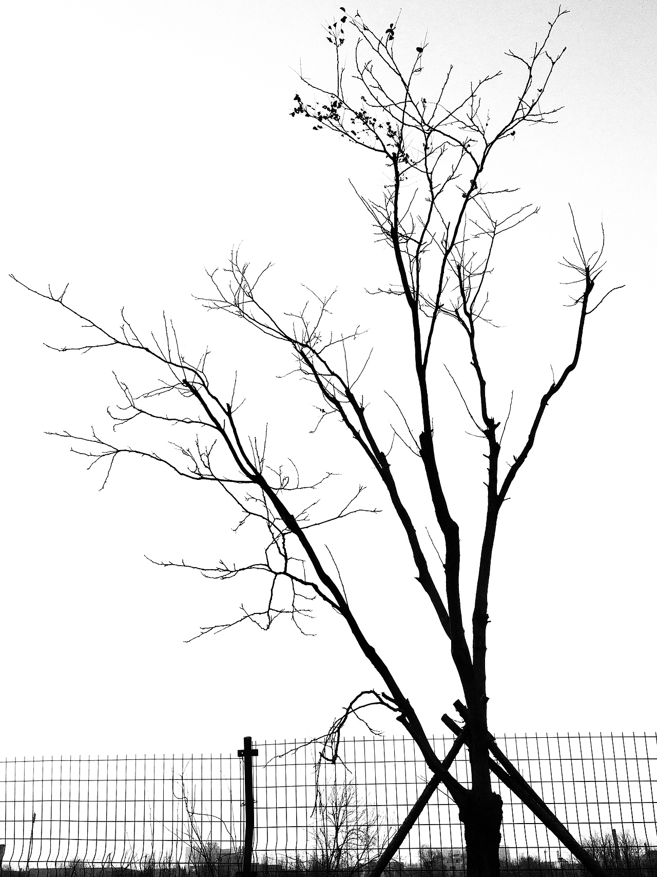 1280_1707竖版 竖屏