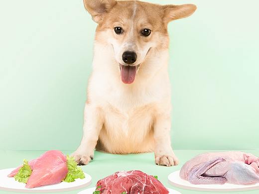 狗糧-詳情頁(yè)（個(gè)人主頁(yè)-ZNDIwNjM0OTI=） - 電商 - 站酷設(shè)計(jì)師貓拉斯加原創(chuàng)素材 - 站酷ZCOOL