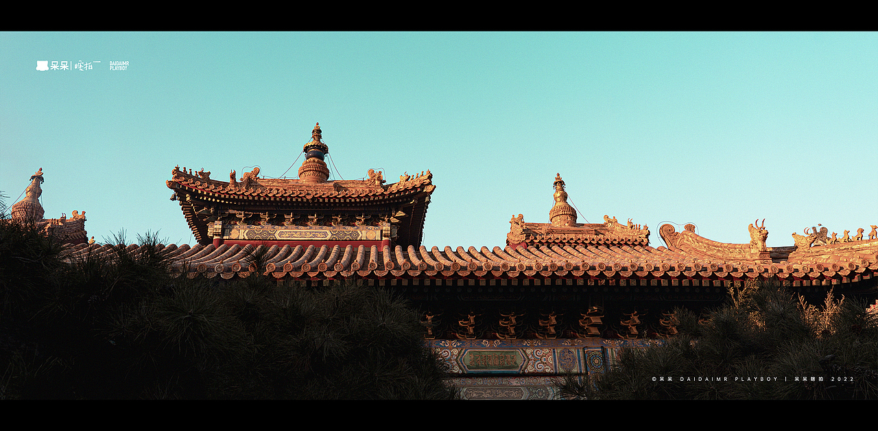 呆呆瞎拍 | 生活就像电影，要有仪式感（图ZMjg3NTYyMjY4） - 人文/纪实摄影 - 站酷设计师呆小东原创素材 - 站酷ZCOOL