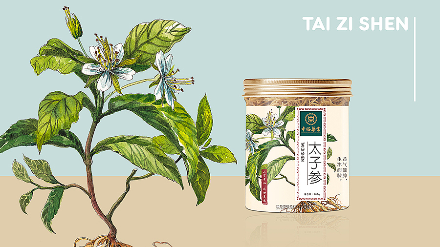 中裕 草药插画包装设计（图ZMTQyNDU1NzI4） - 包装 - 站酷设计师龍大设计原创素材 - 站酷ZCOOL