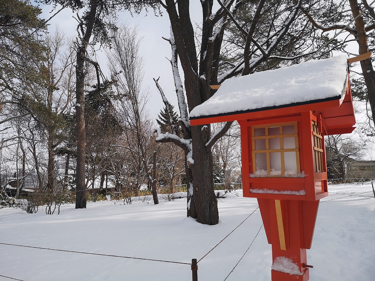 【北海道】这个大雪覆盖的札幌神社，温柔且安静。（图ZMTk2OTY0MjA0） - 风光摄影 - 站酷设计师keke奇遇记原创素材 - 站酷ZCOOL