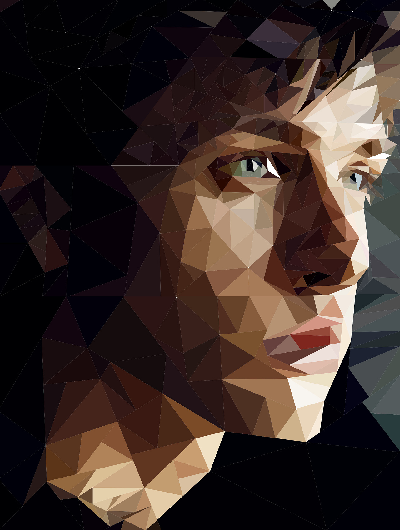 多边形人物插画