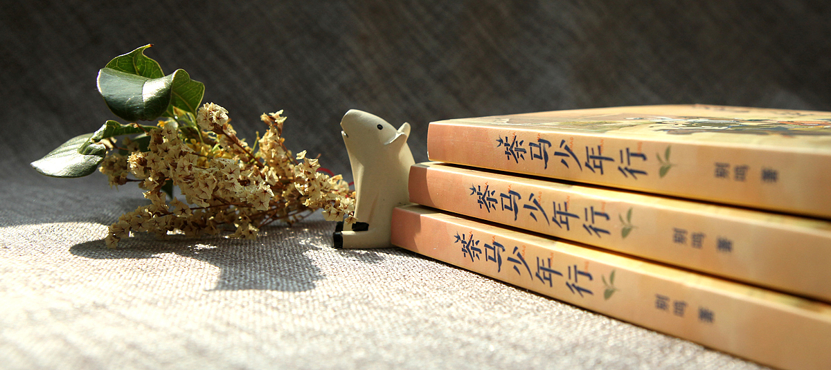 《茶马少年行》图书产品摄影