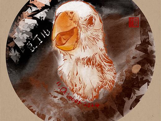 喜迎我家新成员——豆丁儿