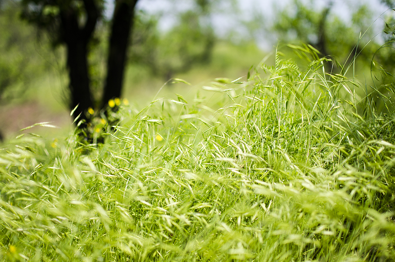 今年春天留念几张