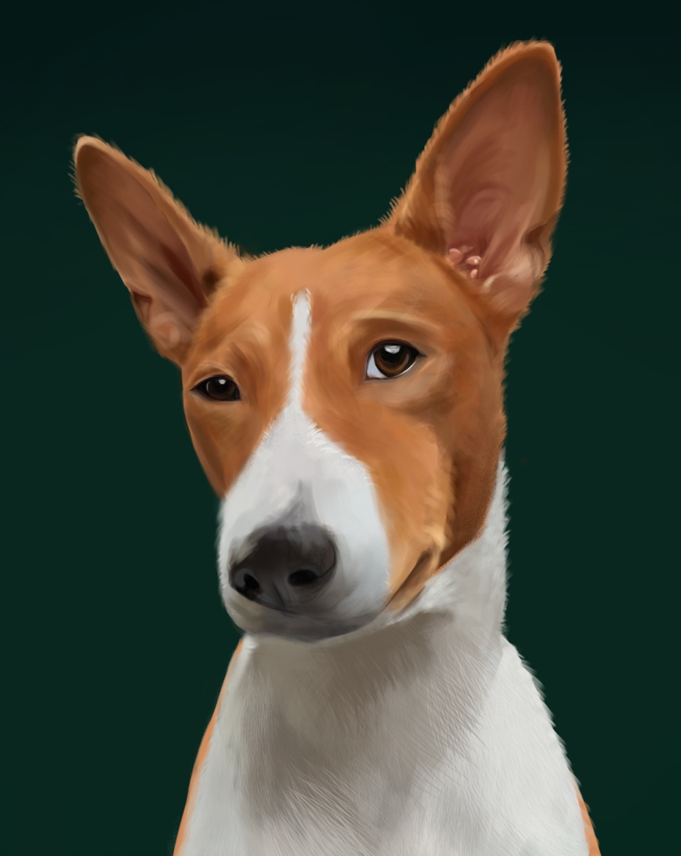 手绘练习-写实动物