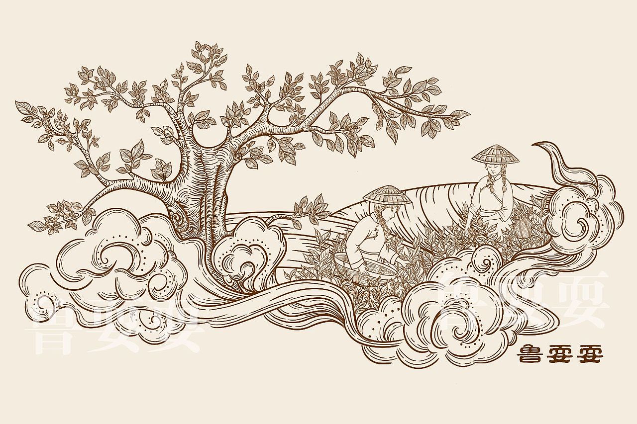 茶叶包装插画（图ZMzI4Nzk0MzE2） - 商业插画 - 站酷设计师鲁耍耍原创素材 - 站酷ZCOOL