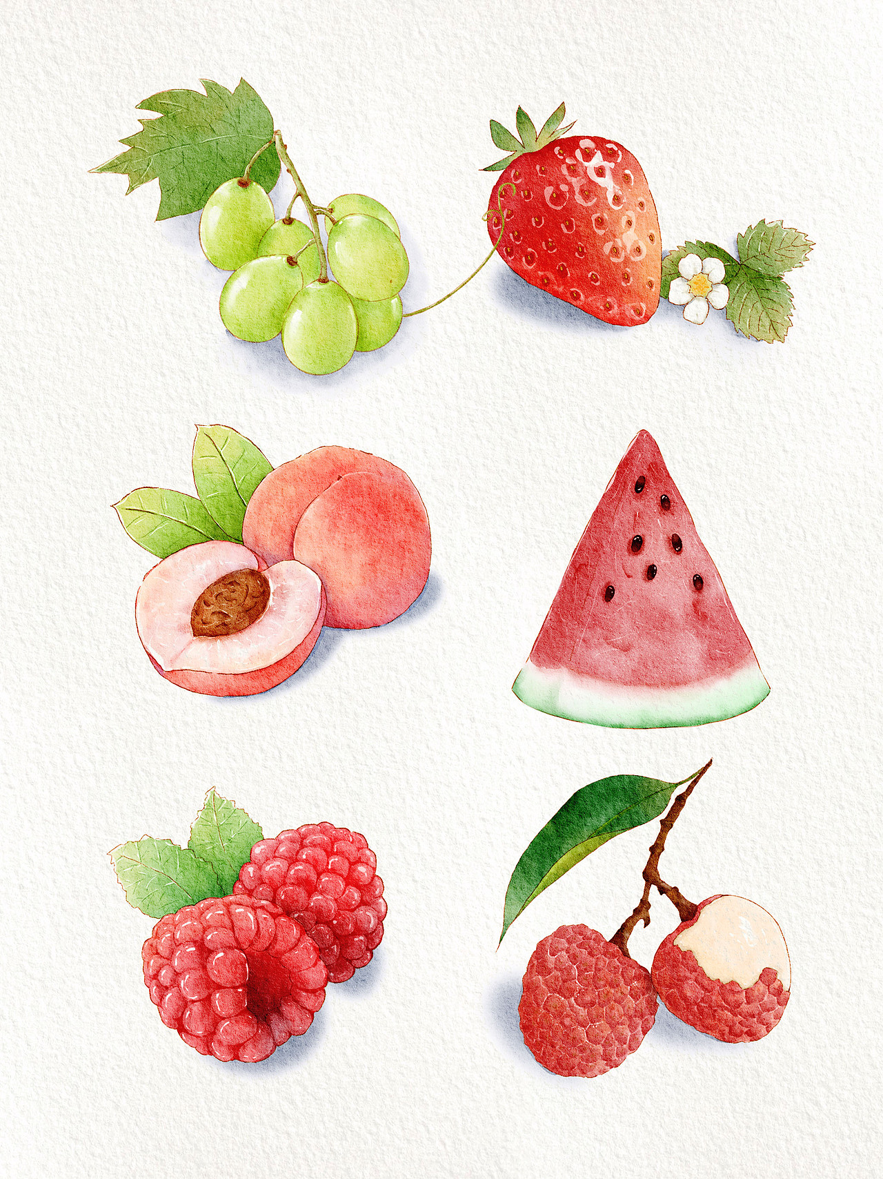 ipad水彩插画--夏日水果合集