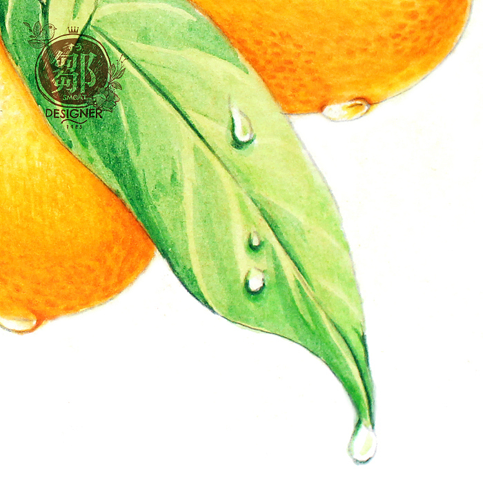 果恋系列-金桔|插画|商业插画|邹猫 - 原创作品 - 站酷 (zcool)