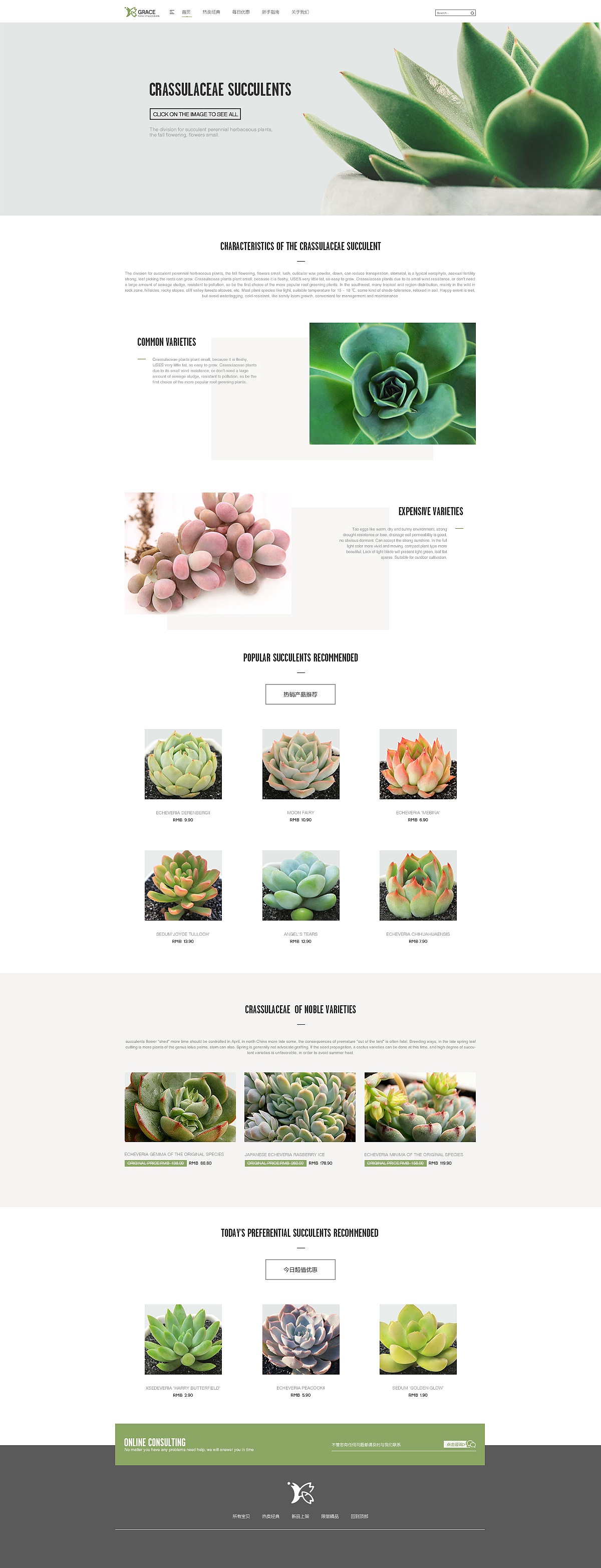 一组小清新的多肉植物网站首页承接页（图ZNTg2NDMzNDA=） - 电商 - 站酷设计师佑佑佑小溪原创素材 - 站酷ZCOOL