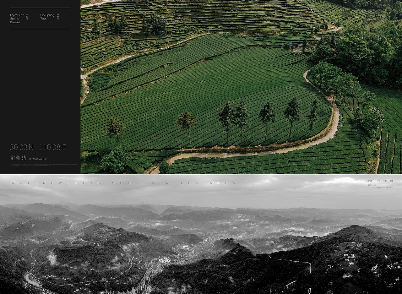 CHUNYEXIY春叶喜雨®品牌设计（图ZMzU4NjQ3NjU2） - 品牌 - 站酷设计师GUUYU郭宇原创素材 - 站酷ZCOOL