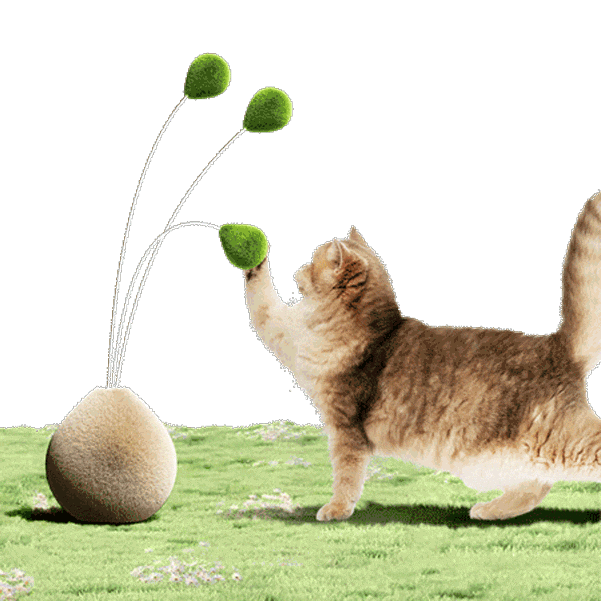 人宠理想绿洲｜petleap x佳简几何（图ZMzYwNzIyODky） - 品牌 - 站酷设计师佳简几何工业设计原创素材 - 站酷ZCOOL
