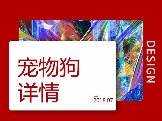 宠物狗详情