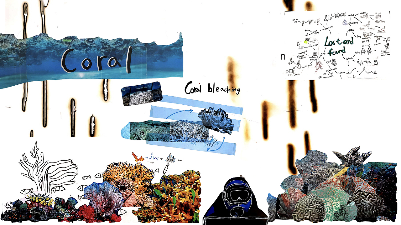 This project is called &quot;lost and found&quot;, I am interesting about the coral which disappearing. When it dead, it will left the trace in the ocean, just like the incenses ash.
