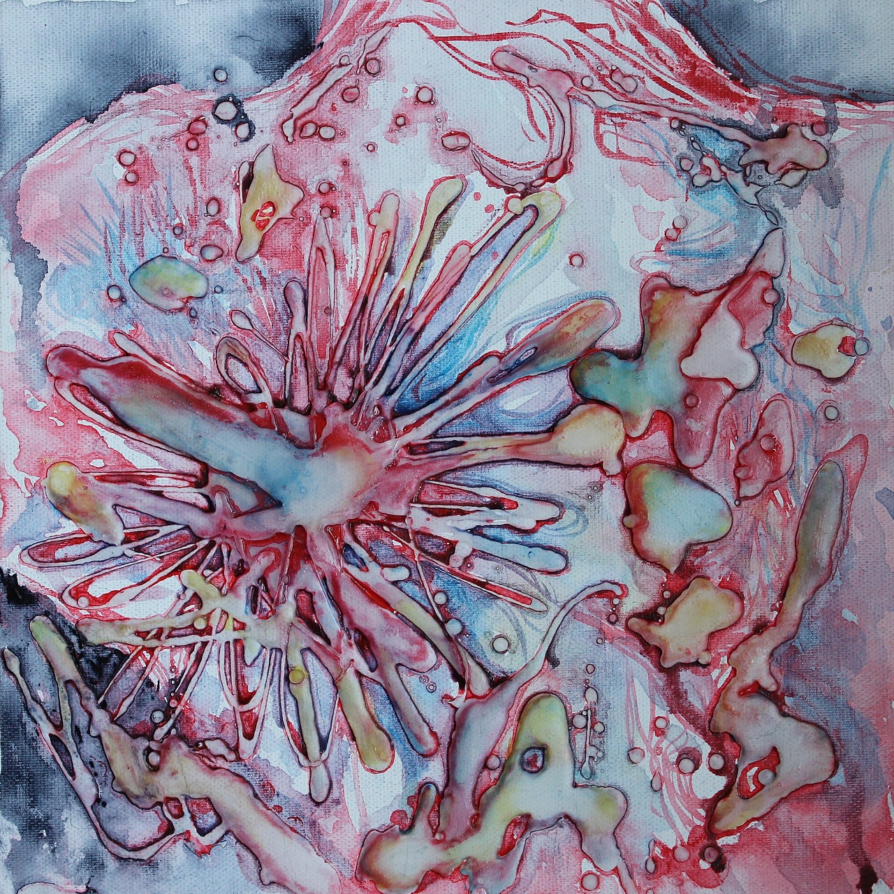 《罗曼蒂克的斗争》