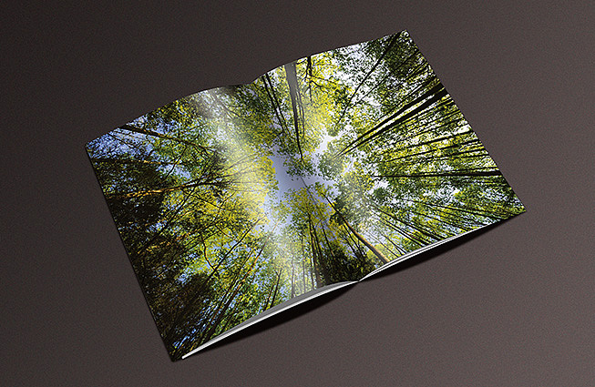 给客户初步提案的一本画册