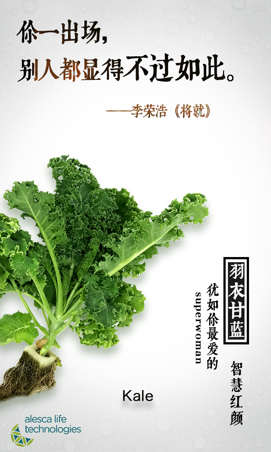 爱勒康快闪图设计（图ZODI1NTE4MDA=） - 品牌 - 站酷设计师咸鱼炖菠菜原创素材 - 站酷ZCOOL