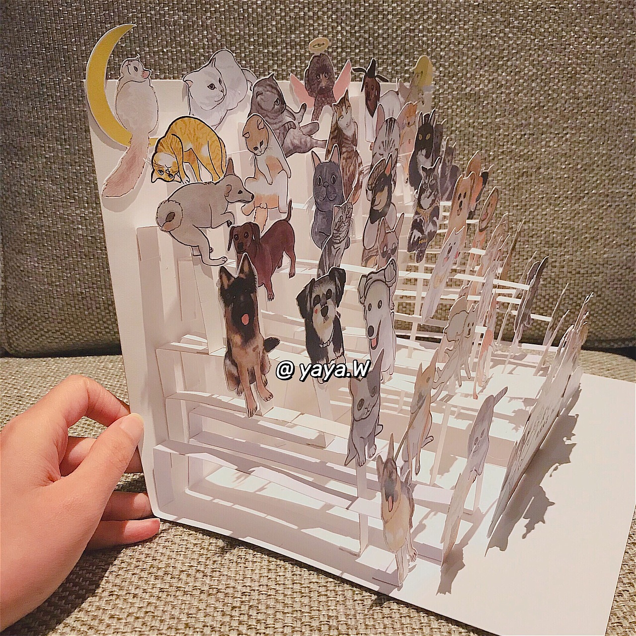 原创立体插画|挑战画3000只萌宠(第一季50只完更)