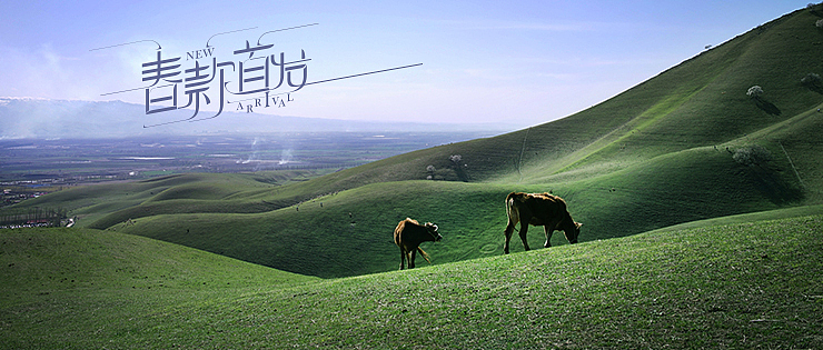 一些字（图ZMjUxODg2MzY=） - 字体/字形 - 站酷设计师涂鸦的晚风原创素材 - 站酷ZCOOL