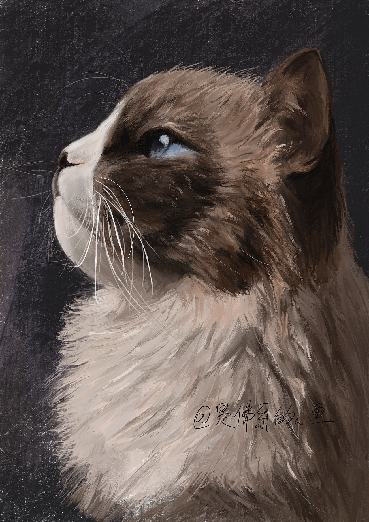 厚涂画猫|插画|艺术插画|是佛系小鱼 - 原创作品 - 站酷 (zcool)