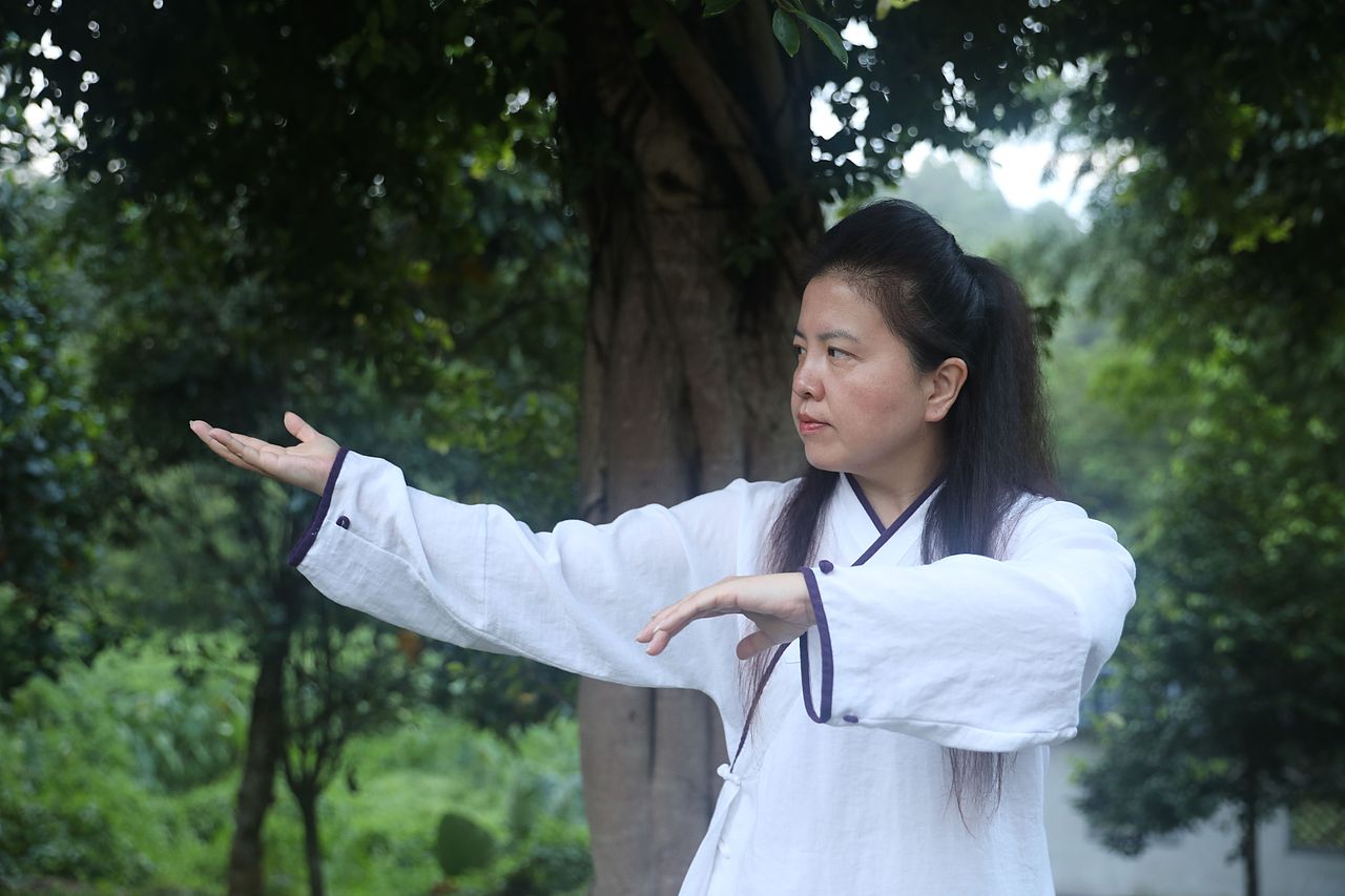 武当道致·理淳