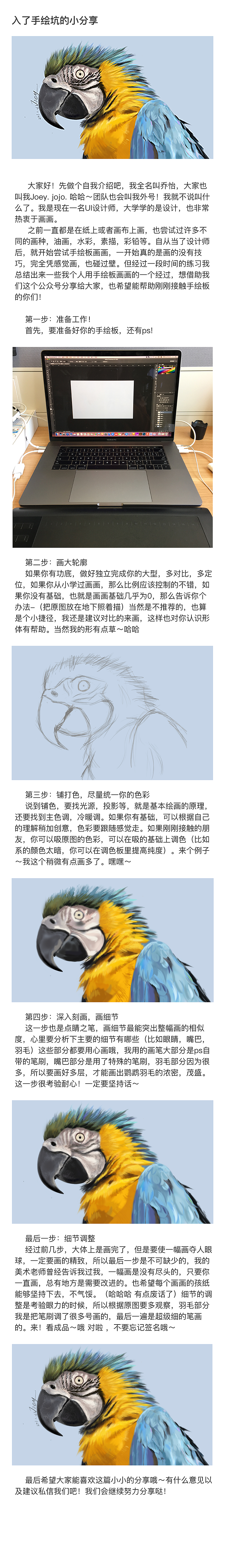 金刚鹦鹉（附小教程）（图ZNzcxMDkwOTI=） - 创作习作 - 站酷设计师猫法一JOEY原创素材 - 站酷ZCOOL