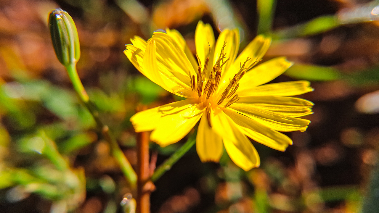 好久没有拍照片了,回了一趟农村,清爽的夏日,干净的空气,怡人的风光.