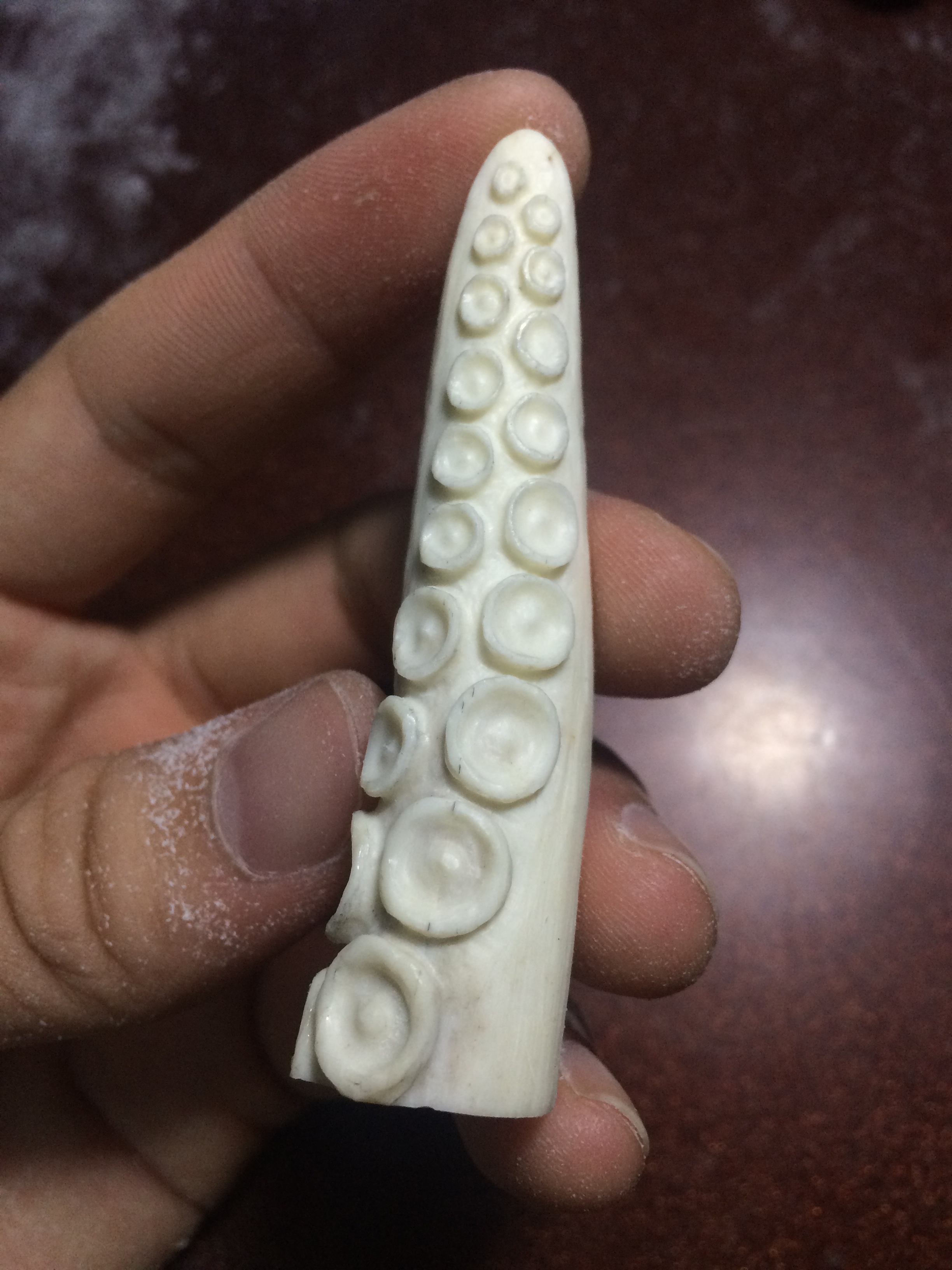 《八尾》鹿角雕刻之八尾章鱼脚吸盘乌贼