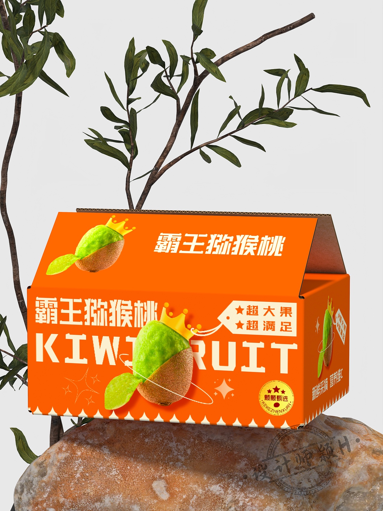 猕猴桃包装设计🥝（图ZMzY3NjA3NDMy） - 包装 - 站酷设计师引立视觉设计原创素材 - 站酷ZCOOL