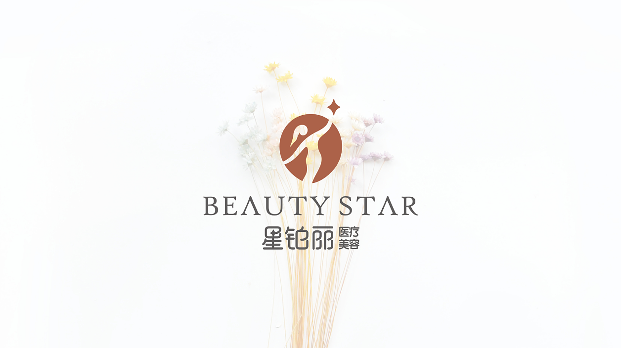 星铂丽-标志设计（图ZMTA1NTQ4Mjg0） - Logo - 站酷设计师肖国贸原创素材 - 站酷ZCOOL