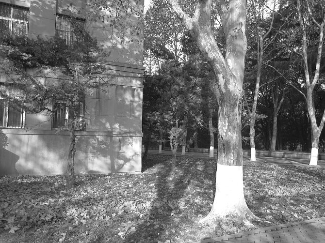 大学摄影随手拍拍（图ZMjUwOTI1Njg=） - 风光摄影 - 站酷设计师传媒摄影人原创素材 - 站酷ZCOOL