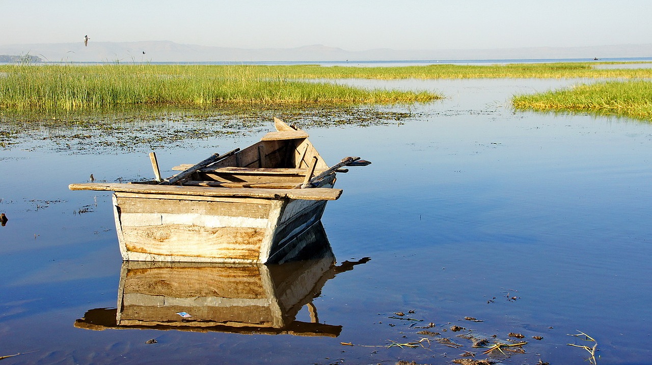 骑在埃塞-阿瓦萨湖的傍晚和早晨