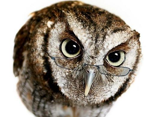 部分按鈕動(dòng)態(tài)設(shè)計(jì)（個(gè)人主頁(yè)-ZMzUwNjY5Mjg=） - 動(dòng)效設(shè)計(jì) - 站酷設(shè)計(jì)師中原人好可怕原創(chuàng)素材 - 站酷ZCOOL