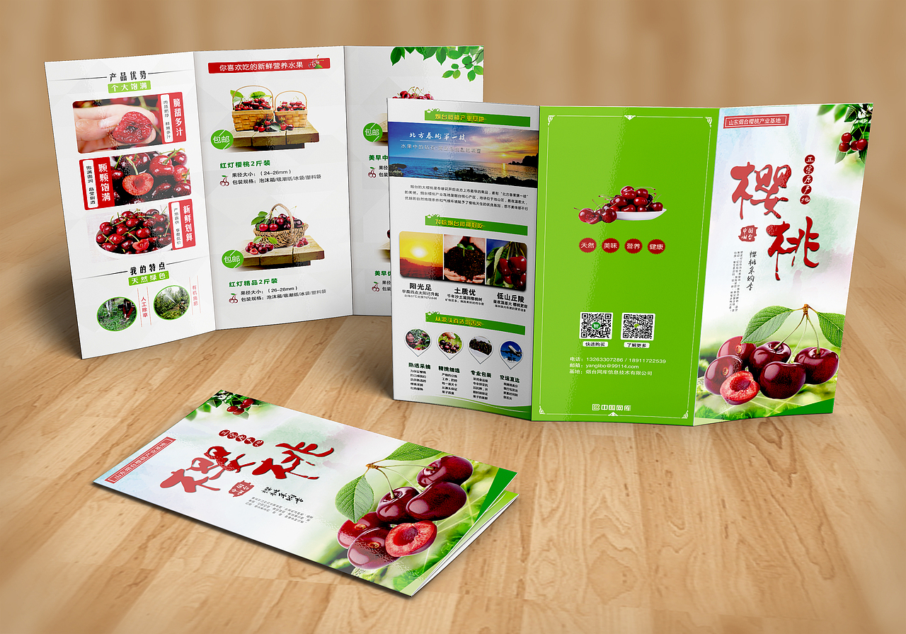 线下物料系列-画册/折页/易拉宝