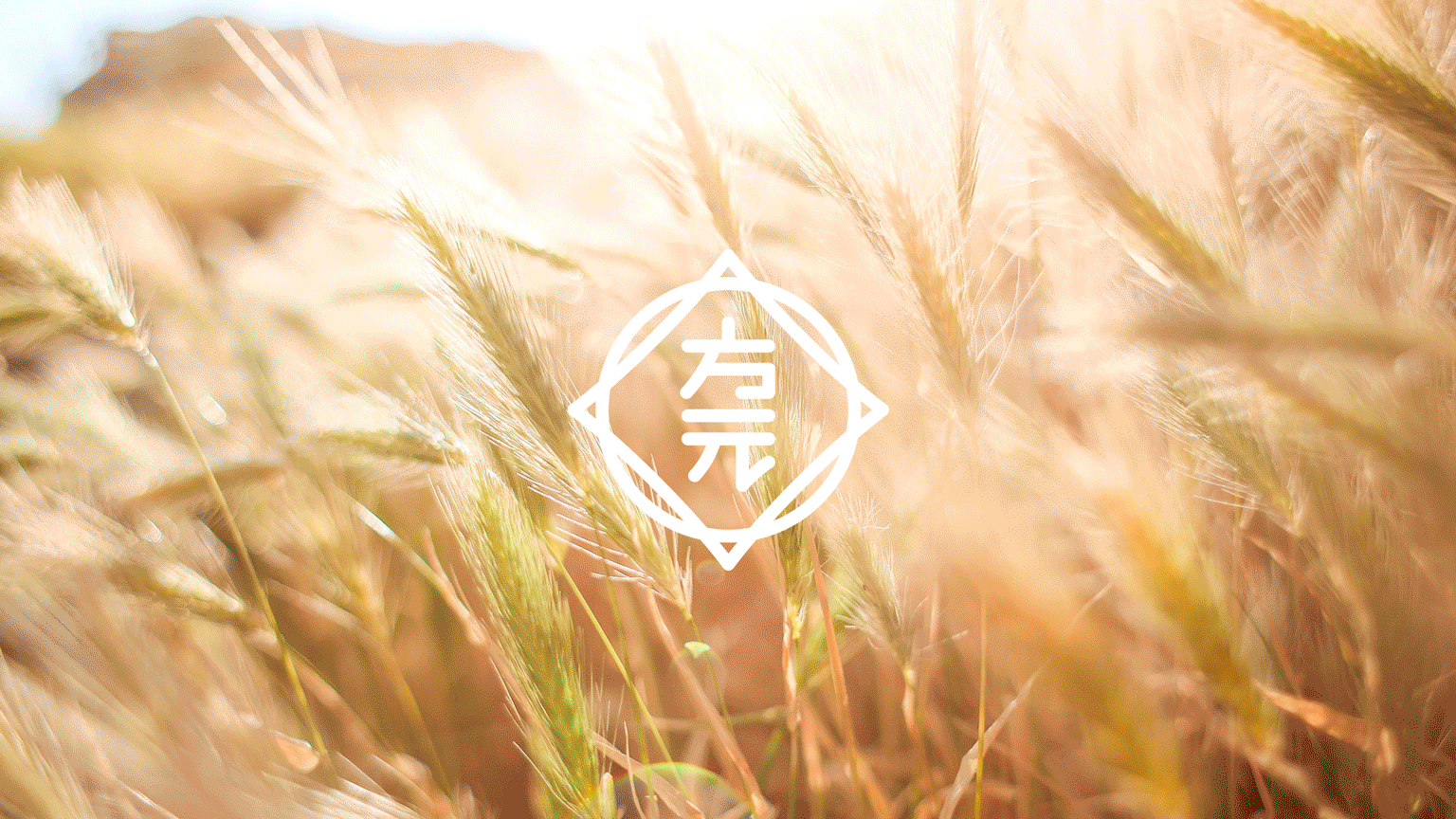 方元健康饮料包装设计（图ZMjc0NTY0MDk2） - 包装 - 站酷设计师onek_onek原创素材 - 站酷ZCOOL