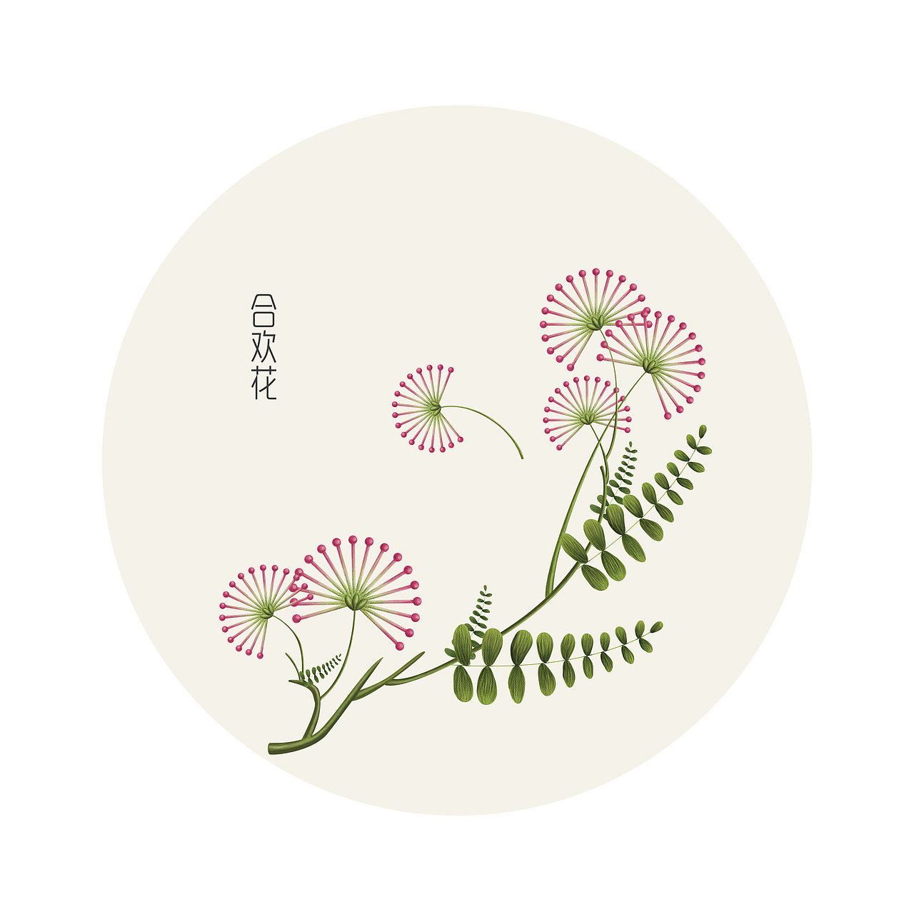 药材手绘（图ZMjYxMjEwNTM2） - 商业插画 - 站酷设计师花面猫的设计原创素材 - 站酷ZCOOL