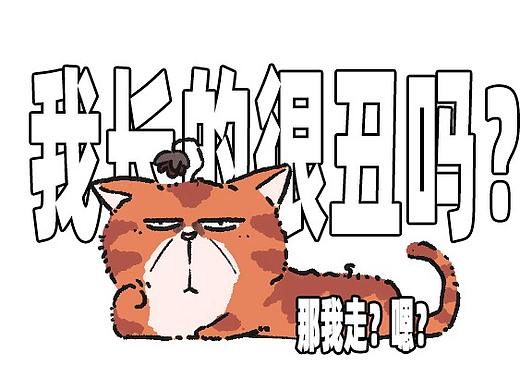 猫来了小课堂-猫咪油腻因为啥？