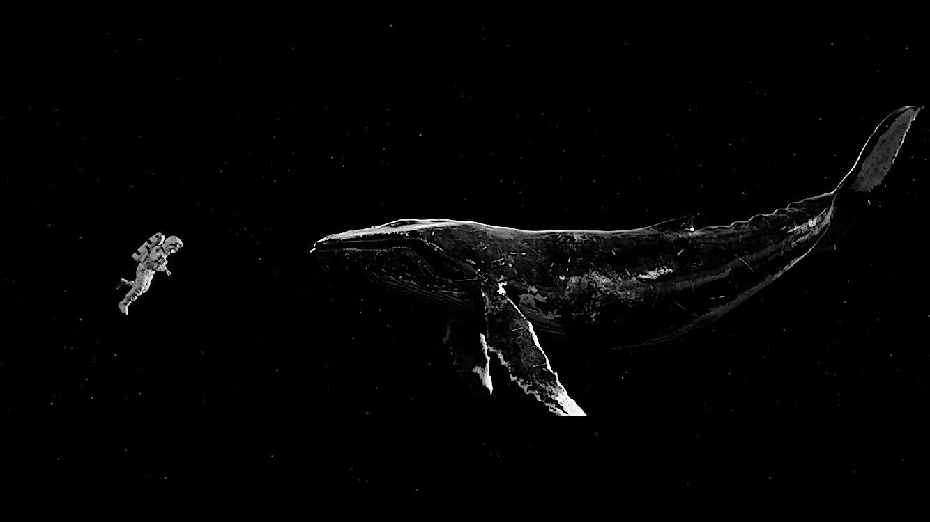 河诗Hers的个人主页（背景预览） - 主页背景设置 - 站酷设计师河诗Hers原创素材 - 站酷ZCOOL