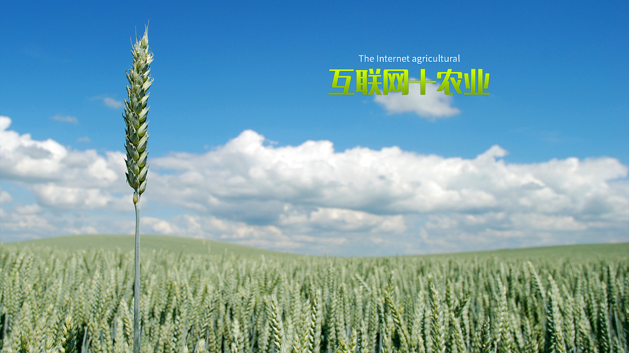 互联网农业主题系列壁纸