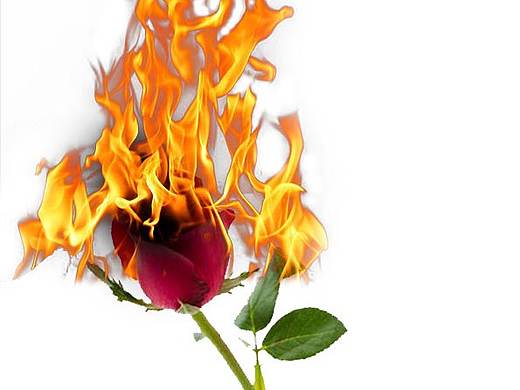 ps练习（个人主页-ZMzA2MTgxNTY=） - 其他平面 - 站酷设计师songjingwen原创素材 - 站酷ZCOOL