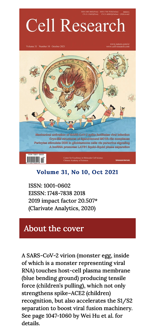 《Cell Research》2021年10月刊 封面设计（图ZMjc0NDI3ODYw） - 商业插画 - 站酷设计师徐敏君MoniqueXu原创素材 - 站酷ZCOOL