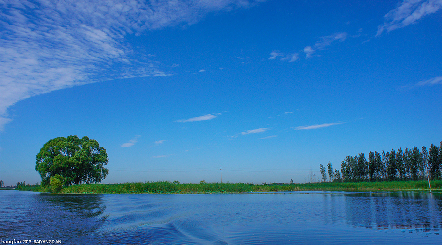 白洋淀游记