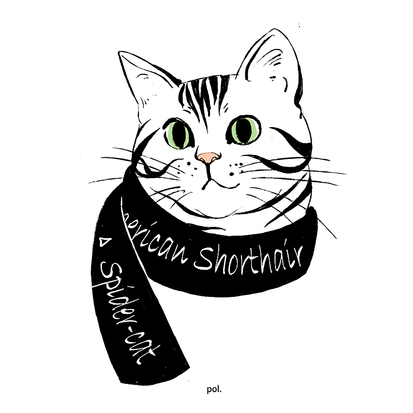 原创作品插画商业插画pollybo猫/喵星人/动物79猫咪笔记本封面1300