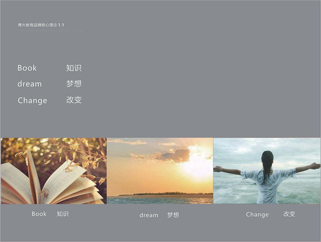 教育品牌视觉规范设计(已商用)