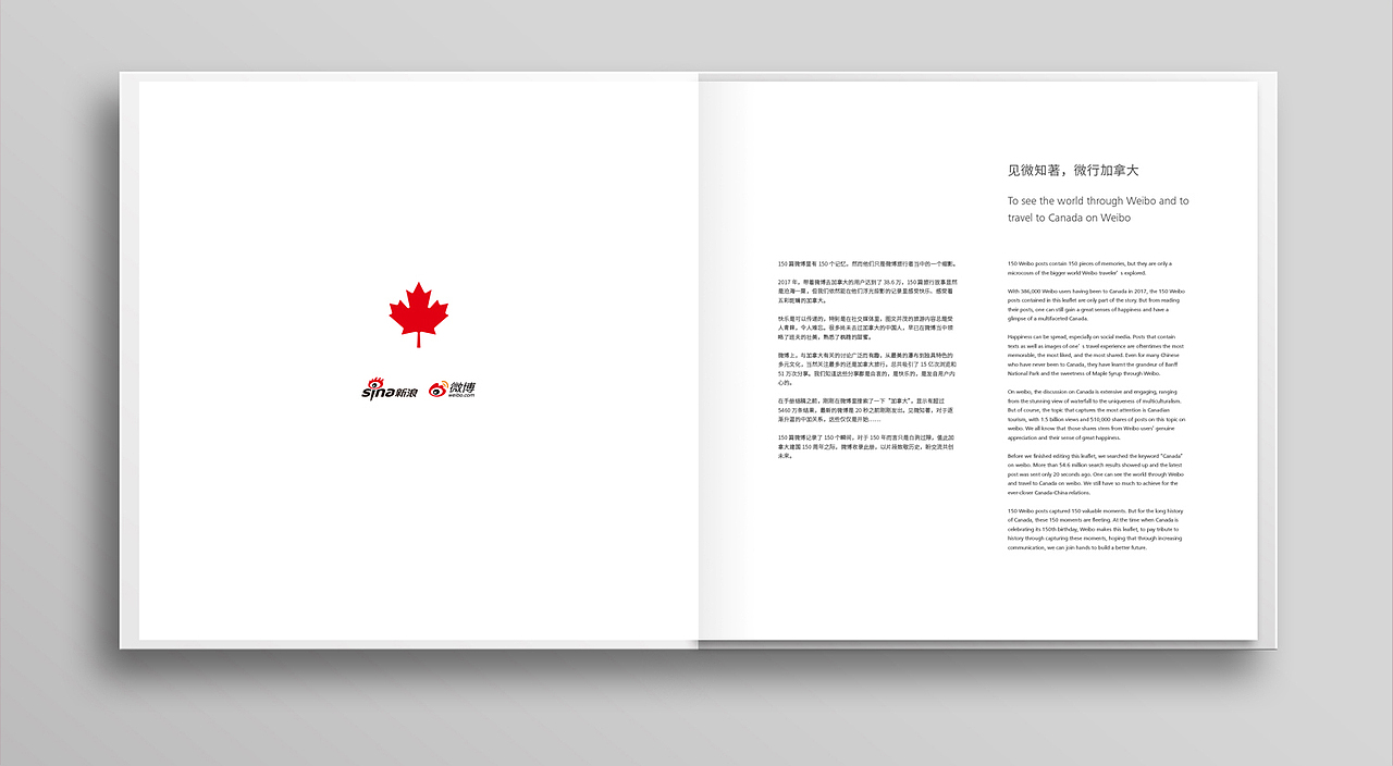 新浪 电商品牌 吉祥物设计+品牌VI设计