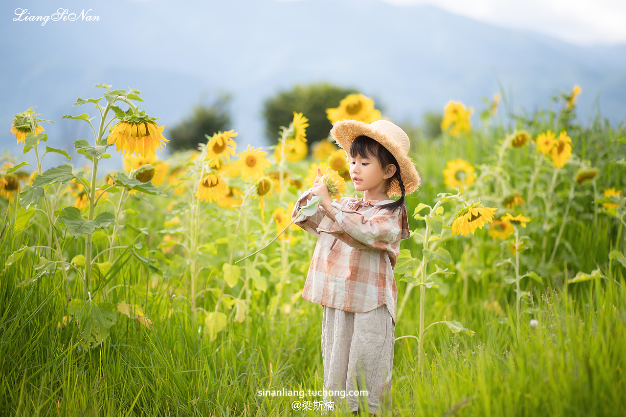 我涉旷野乡村中来,入灿灿花海