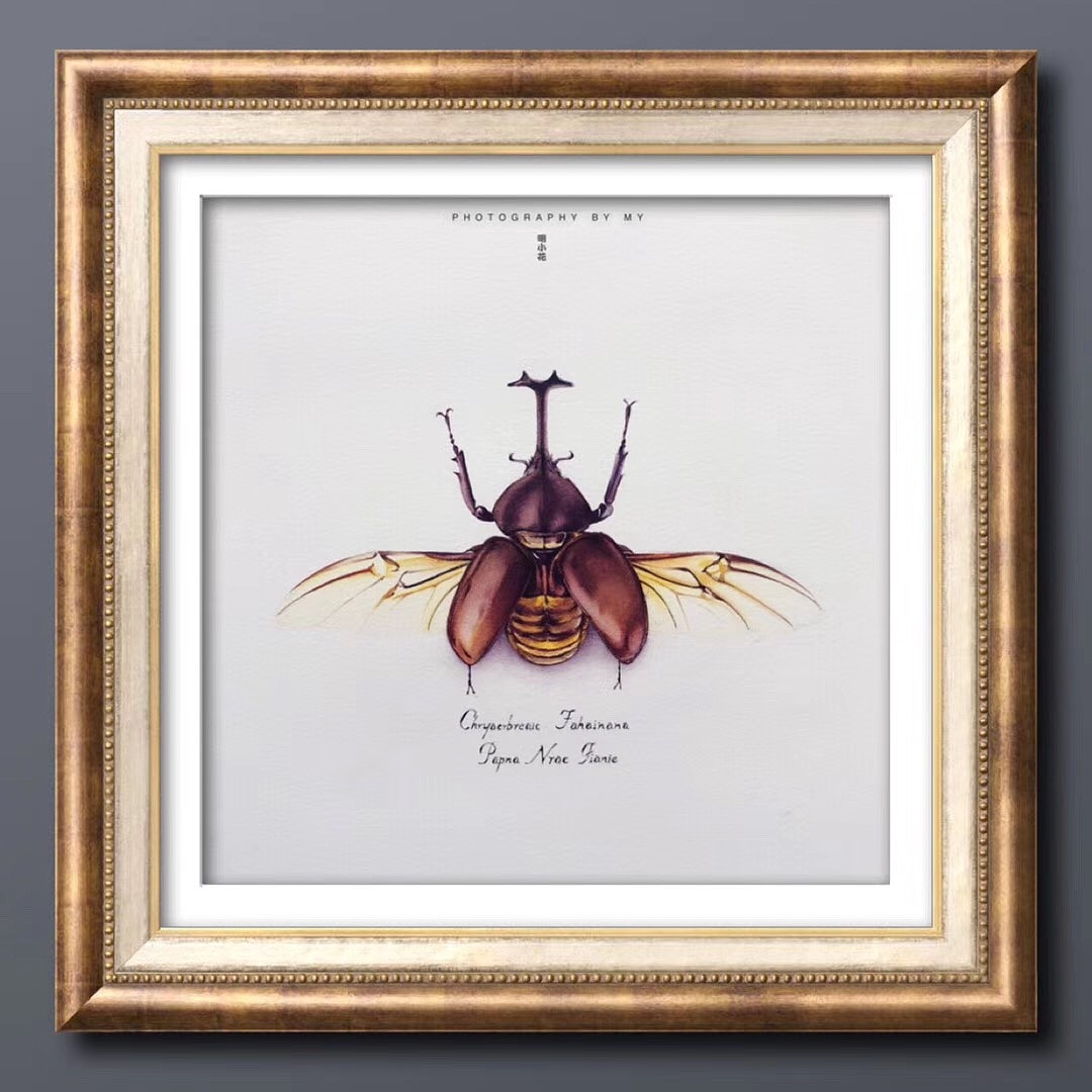 明小花水彩进阶班～第六课～)沈阳/插画师/5年前/451浏览明小花