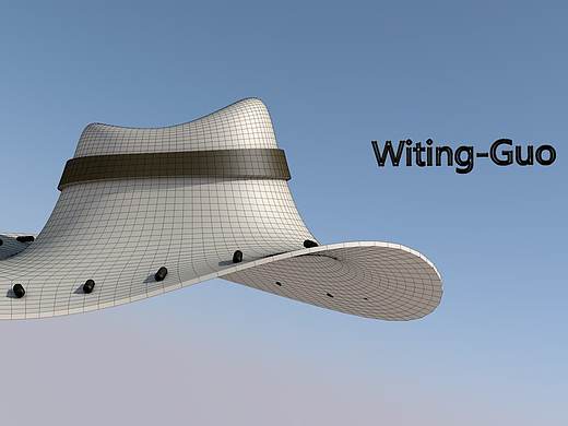 帽子（个人主页-ZNDc1MDI2OTI=） - 产品 - 站酷设计师WitingG原创素材 - 站酷ZCOOL