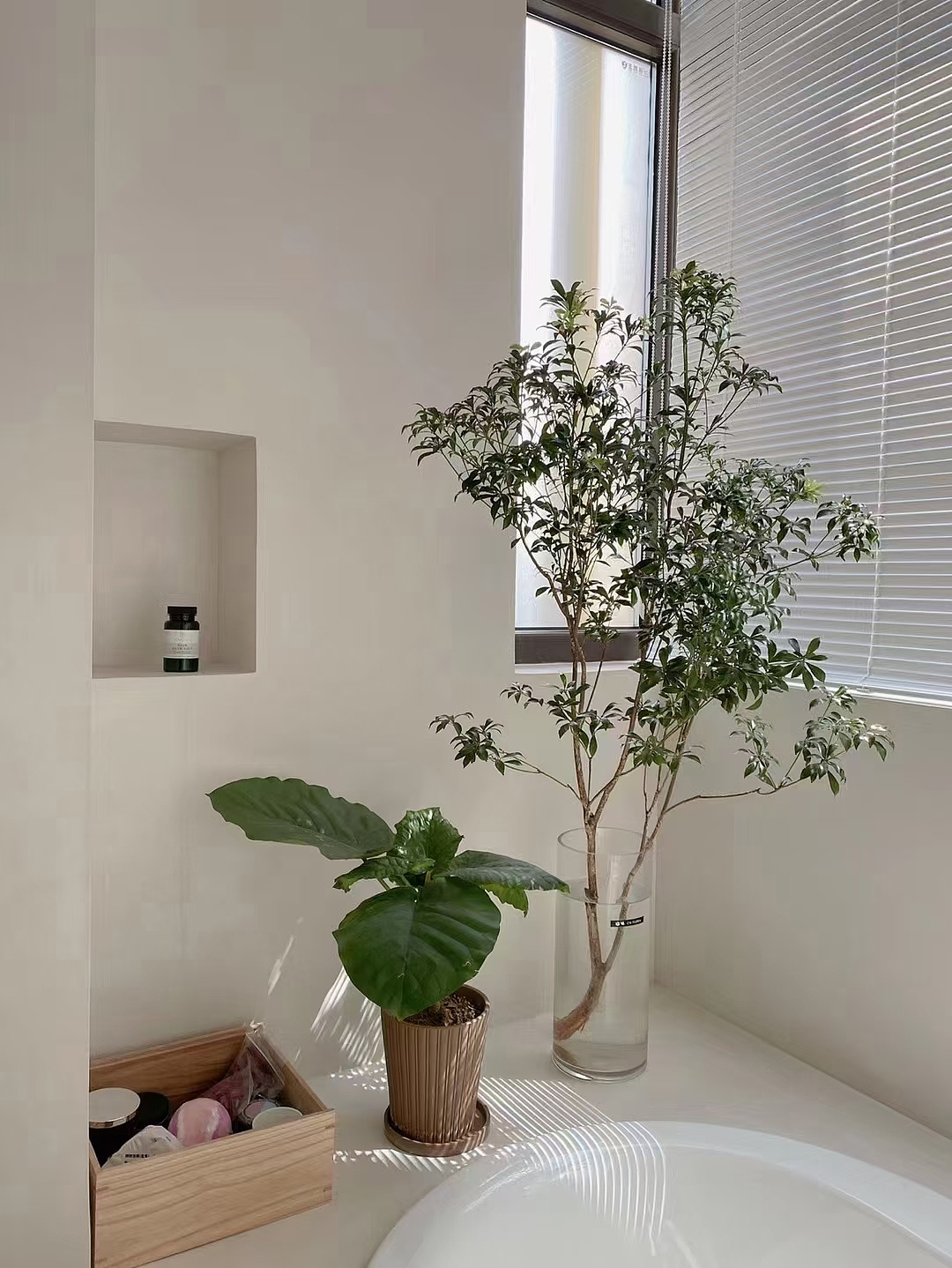 #洛夫特天然树脂